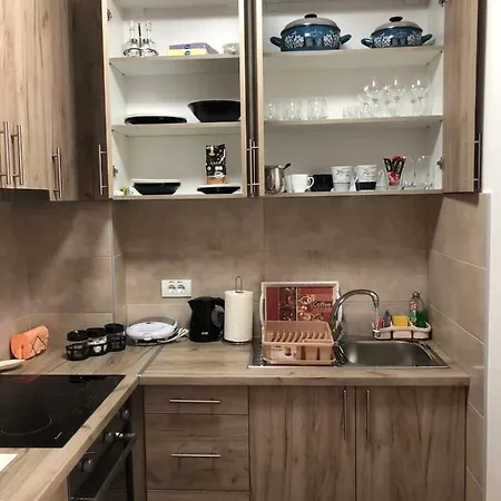 Tri Palme Apartament Banja Koviljača
